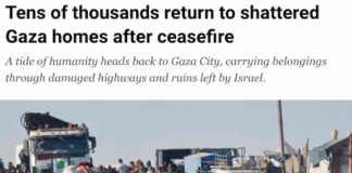 Palestinians, forcibly displaced to the southern part of Gaza by Israel, make their way north