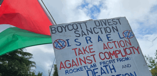 NZ Palestine protesters condemn govt over failure to impose sanctions against Israel A BDS - boycott, divestment and sanctions - placard