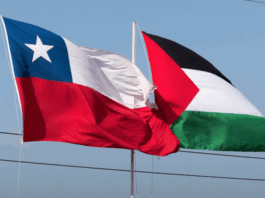The organisers of the Chilean civil society initiative against genocidal Israel