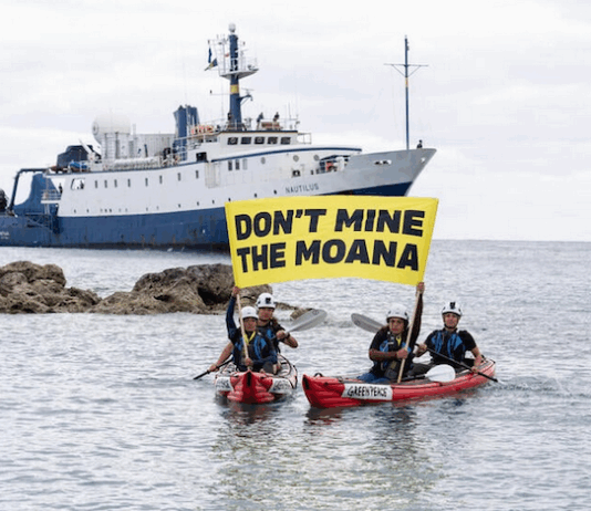 Growing local opposition to seabed mining decision has forced Cook Islands delay, says Greenpeace Cook Island activists peacefully confront the Nautilus at Rarotonga port last month, holding banners proclaiming "Don’t Mine The Moana"