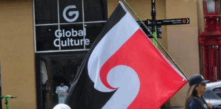 Australian author says shadow Gaza transit scheme company is operating ‘disaster capitalism’ Pro-Palestinian activist Lamees Elthiny speaking to protesters in Auckland