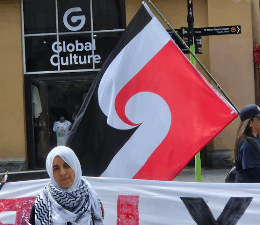 Australian author says shadow Gaza transit scheme company is operating ‘disaster capitalism’ Pro-Palestinian activist Lamees Elthiny speaking to protesters in Auckland