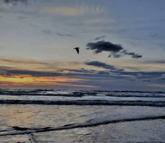 Saige England: if we want to save the planet we need a massive game change "By helping each other we save each other."