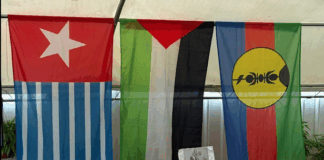 The Civicus "civic freedoms" in the Pacific report