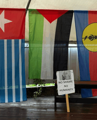 The Civicus "civic freedoms" in the Pacific report