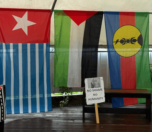 The Civicus "civic freedoms" in the Pacific report