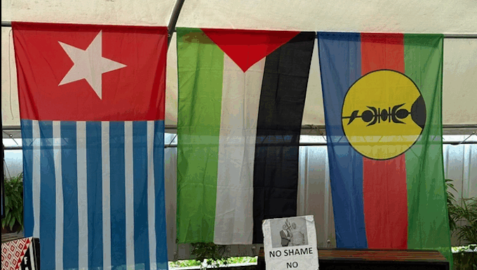 The Civicus "civic freedoms" in the Pacific report