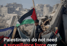 Gaza's UNSC Resolution 2803