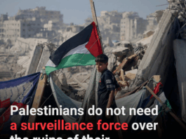 Gaza's UNSC Resolution 2803