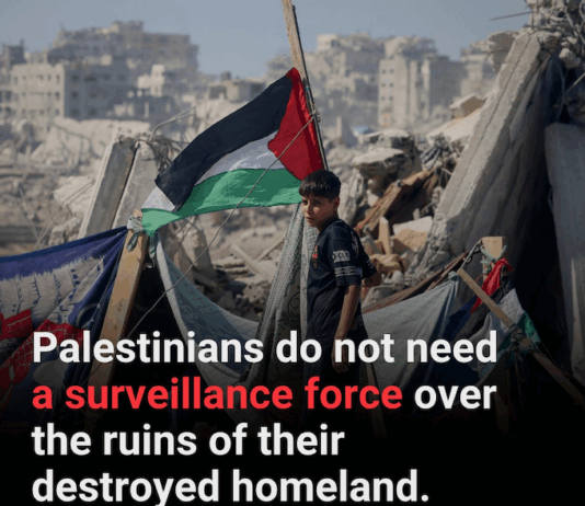 Gaza's UNSC Resolution 2803