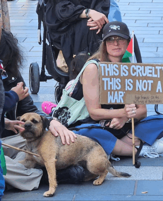 Fiji, NZ protesters kick off UN day of solidarity for Palestine amid calls for sanctions, boycotts on Israel Pro-Palestinian protesters over the Gaza genocide