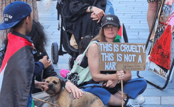 Pro-Palestinian protesters over the Gaza genocide