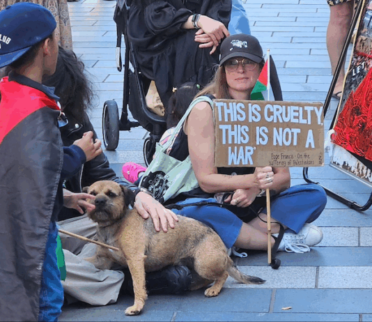 Pro-Palestinian protesters over the Gaza genocide