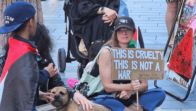 Pro-Palestinian protesters over the Gaza genocide