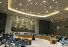 A shameful mandate for force: What the UNSC’s Gaza resolution means in practice The UNSC resolution not only makes US President Donald Trump the effective leader of the new administrative force that will be imposed upon the Gaza Strip, but also greenlights what it calls its International Stabilisation Force