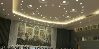 A shameful mandate for force: What the UNSC’s Gaza resolution means in practice The UNSC resolution not only makes US President Donald Trump the effective leader of the new administrative force that will be imposed upon the Gaza Strip, but also greenlights what it calls its International Stabilisation Force