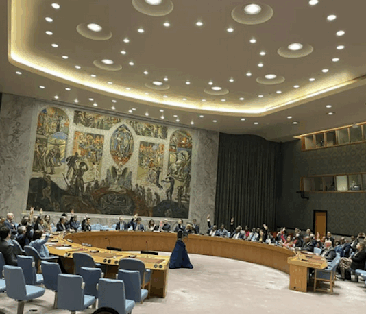 A shameful mandate for force: What the UNSC’s Gaza resolution means in practice The UNSC resolution not only makes US President Donald Trump the effective leader of the new administrative force that will be imposed upon the Gaza Strip, but also greenlights what it calls its International Stabilisation Force