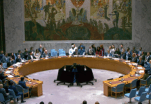 IDF failed on battlefield to disarm Hamas, but UN vote gives power to US-Israel, says analyst The UN Security Council adopted the US-sponsored Gaza resolution 13 votes to nil