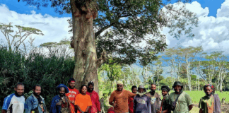 A potential pathway for transformative change in Indonesia, aiming to forge a new social contract for Papuans