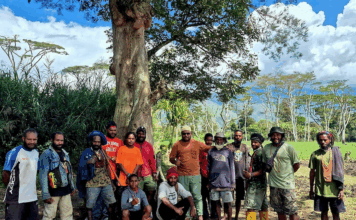 A potential pathway for transformative change in Indonesia, aiming to forge a new social contract for Papuans