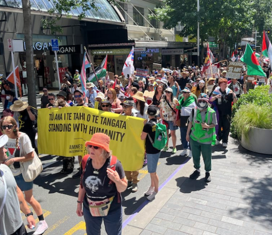 The Toitū te Aroha diversity supporters march up Queen Street