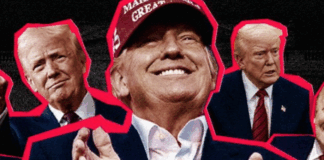 Put them all the individual attacks together and one conclusion is unavoidable