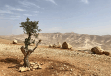 The Israeli version of shock and awe has long been a default policy