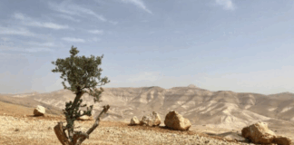 The Israeli version of shock and awe has long been a default policy