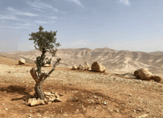 The Israeli version of shock and awe has long been a default policy