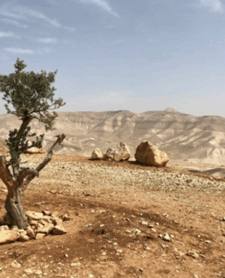 The Israeli version of shock and awe has long been a default policy