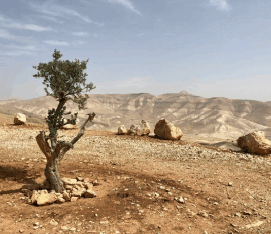 The Israeli version of shock and awe has long been a default policy