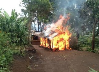 NZ pulls plug on $6.7m power project in Papua New Guinea amid tribal violence A home destroyed in tribal fighting in PNG's Highlands