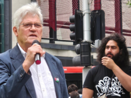 Physicist and peace advocate Dr Peter Wills