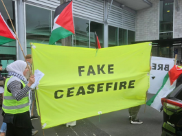 A "Fake Ceasefire" banner at an Auckland protest against the Gaza genocide