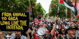 "From Gadigal to Gaza, long live the Intifada"