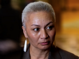 Green Party co-leader Marama Davidson