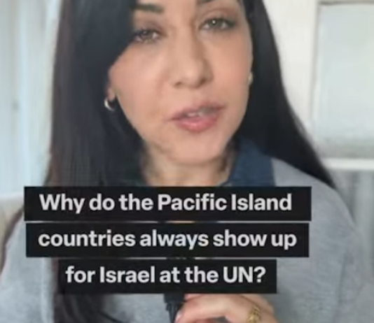 AJ+ senior presenter/producer Dena Takruri