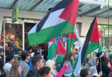 "I am worried about the implications of any law that bans a chant by exiled people"