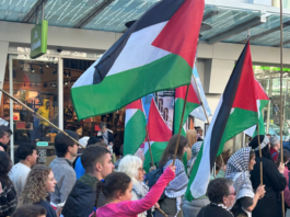 "I am worried about the implications of any law that bans a chant by exiled people"