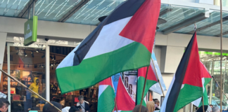 "I am worried about the implications of any law that bans a chant by exiled people"