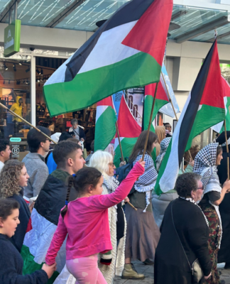 Saige England: Bearing witness – we are seeing a rise of totalitarian predator injustice from Gaza to NZ "I am worried about the implications of any law that bans a chant by exiled people"