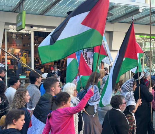 "I am worried about the implications of any law that bans a chant by exiled people"