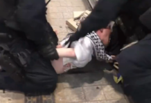 A scene of NSW police brutality raining blows on a young man in a keffiyeh in Sydney
