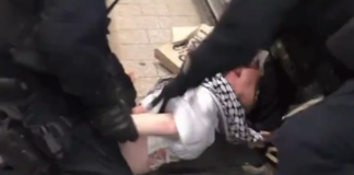 A scene of NSW police brutality raining blows on a young man in a keffiyeh in Sydney