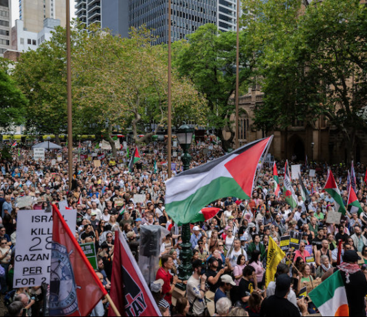 "Cowardice may be disguised by violence but is demeaning"