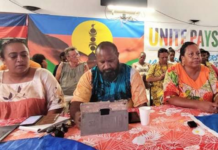 French Senate vote endorses New Caledonia’s future status Preparations for the FLNKS "National Unity" list for the local elections due in New Caledonia
