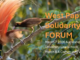 West Papua Solidarity Forum