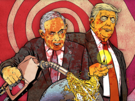 "A bright future." Graphic: Mr Fish