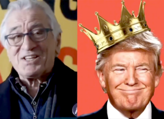 ‘No kings’: What Americans can learn from other nonviolent civil activism movements American actor Robert De Niro
