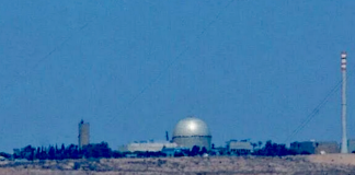 Dimona's nuclear opacity